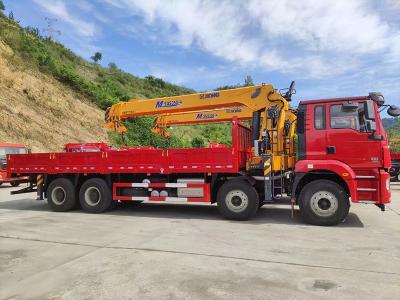12 tons Kraanwagen 