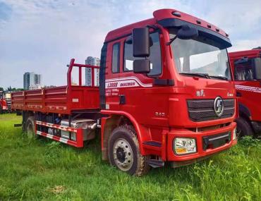 4 * 2 Camion da carico