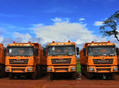 8*4 Dump Truck